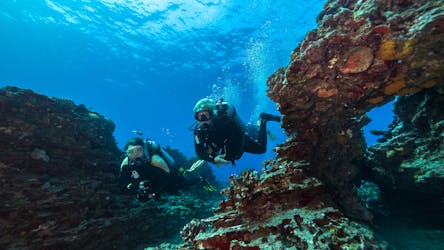 Tour de buceo o esnórquel en los arrecifes poco profundos de Oahu